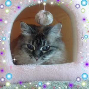 Meet your Posher, Leanne